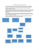 International operation Reclutamiento y Selección de Personal