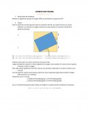 Software Realizar un algoritmo que gire la imagen 360º con animación en pausas de 10º