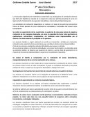 Matemática - Evaluación diagnóstica