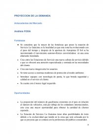 IDEA DE PROYECTO: ESTACION DE SERVICIO LA GUACIMA. Página 8