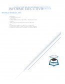 Informe ejecutivo de wonka Widet