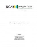 Marco teórico REseña