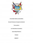 Insecticidas: Organoclorados,organofosforados y carbamatos ensayo