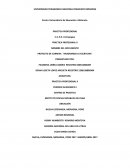 PROYECTO DE CARRERA ¨MEJORANDO LA ESCRITURA¨