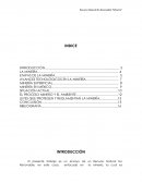 La minería - ensayo