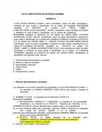ACTA CONSTITUCION DE SOCIEDAD ANONIMA - Prácticas o problemas - 99072206688