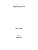 Caso Trap Ease America