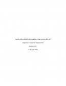 EL CONTROL 1 DIAGNOSTICO DESARROLLO ORGANIZACIONAL