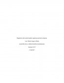 Diagnóstico del actual modelo organizacional de la empresa