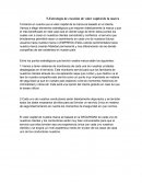 Estrategia de creación de valor capital de la marca