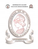 Investigación de Marketing de McDonald's