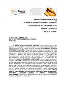 La guarda y custodia provisional y en su momento definitiva de la menor ALESSANDRA SOPHIA SARAVIA GONZALEZ a favor de la parte actora