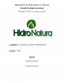 QUE ES LA HIDROPONIA Y PARA QUE SIRVE