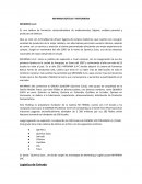 Es una cadena de farmacias comercializadora de medicamentos, higiene, cuidado personal y productos de belleza