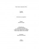 El presente documento se presenta una problemática que tiene una población respecto al relleno sanitario