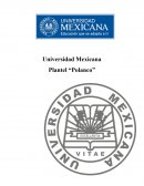 Los Lineamientos de control interno