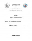 Taller de trámites ante la aduana Agente aduanal