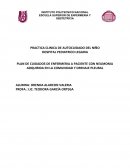 PLAN DE CUIDADOS DE ENFERMERIA A PACIENTE CON NEUMONIA ADQUIRIDA EN LA COMUNIDAD Y DRENAJE PLEURAL