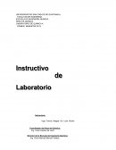 ÁREA DE QUÍMICA. LABORATORIO DE QUÍMICA 4