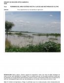 El Formato de reflexión de critica ambiental