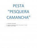 PESTA “PESQUERA CAMANCHA”