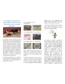 Animales en peligro de extincion. Los animales, sean de la especie que sean, deben tratarse de una manera delicada