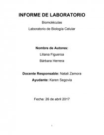 INFORME DE LABORATORIO Biomoléculas. Página 1