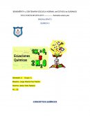 ¿Qué son las ecuaciones químicas?