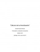 Calculo de amortizacion