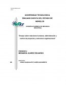 Ensayo sobre relaciones humanas, administración y control de proyectos y estructura organizacional”