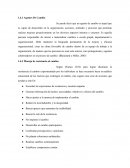 Excesiva presentacion