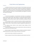 Control Interno en las Organizaciones