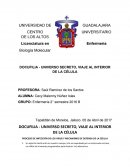 PROCESO DE INFECCIÓN DE LOS VIRUS Y MECANISMO DE DEFENSA DE LA CÉLULA