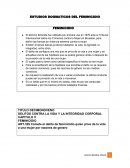 LOS ESTUDIOS DOGMATICOS DEL FEMINICIDIO