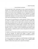 Por que las empresas fracasan ensayo