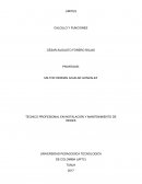 TECNICO PROFESIONAL EN INSTALACIÓN Y MANTENIMIENTO DE REDES