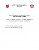 PLAN DE CUIDADOS DE ENFERMERIA A PACIENTE POST OPERADO PLASTIA DE MIELOMENINGOCELE LUMBOSACRO