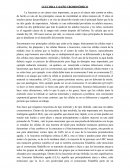 Leucemia y daño cromosómico