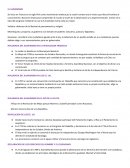 El iluminismo. INFLUENCIA DEL ILUMINISMO EN LA REVOLUCION FRANCESA