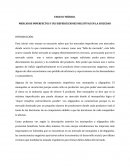 MERCADOS IMPERFECTOS Y SUS REPERCUCIONES NEGATIVAS EN LA SOCIEDAD