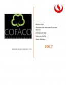 GRANDES IDEAS DE GERENCIA FX51