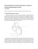 The perception of the environment