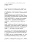 TEMA DE LA ORGANIZACIÓN EMPRESARIAL UN TEMA ESENCIAL Y AMPLIO