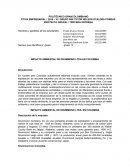 Como es el Impacto ambiental en nuestro mundo moderno