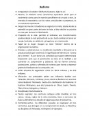 Aristoteles - Platon