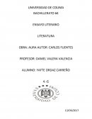 COMO SE DA UN ENSAYO DE LA NOVELA AURA