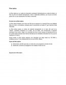 La Fibra óptica - Resumen