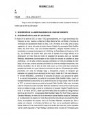 LA GRAN DESCRIPCIÓN DE LA LABOR REALIZADA EN EL CASO EN CONCRETO