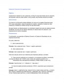 Valuación financiera de organizaciones