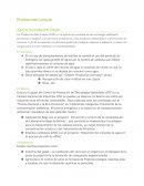 ¿Qué es la produccion limpia?